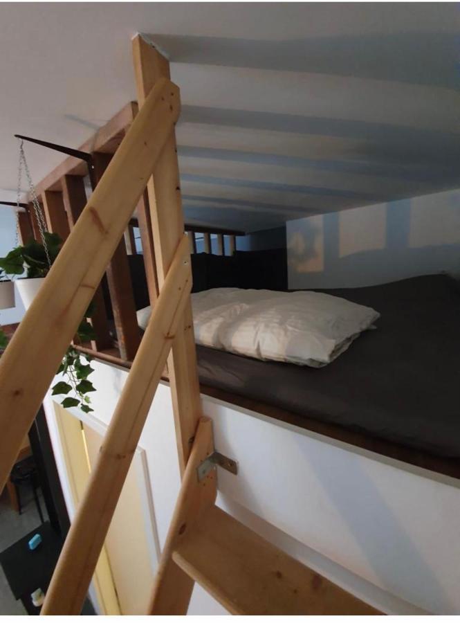 Modern Studio With Mezzanine Le Mont-Sur-Lausanne Kültér fotó