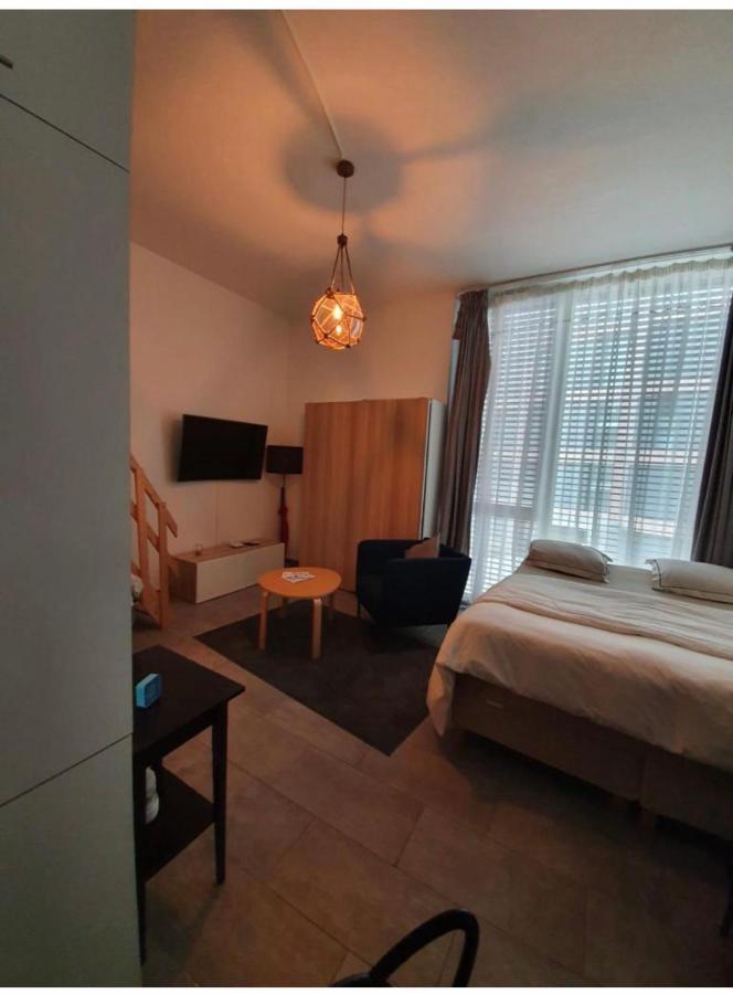 Modern Studio With Mezzanine Le Mont-Sur-Lausanne Kültér fotó